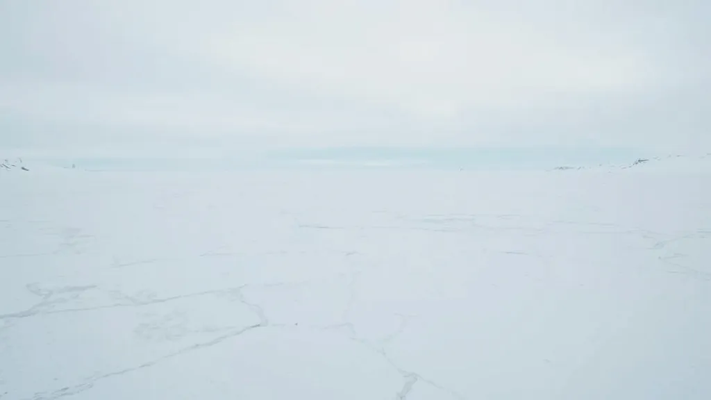 Trop de proximité tue le désir : la leçon de l'Antarctique pour votre couple